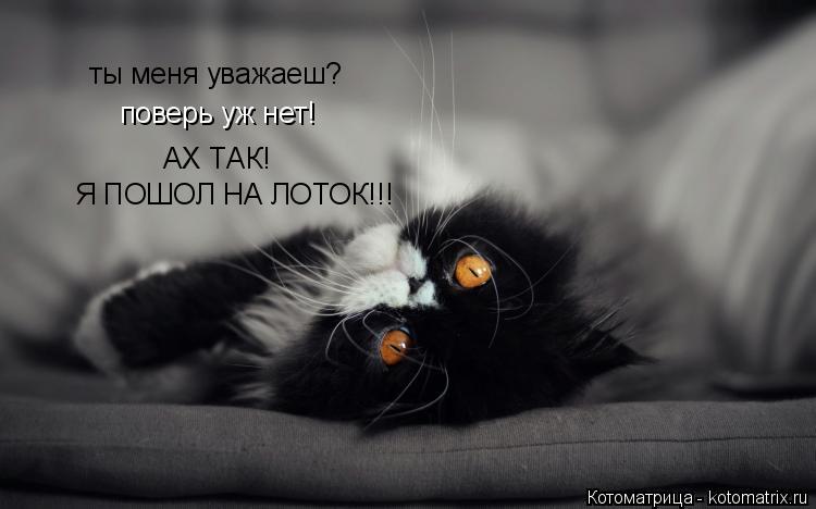 Котоматрица: ты меня уважаеш? поверь уж нет! АХ ТАК! Я ПОШОЛ НА ЛОТОК!!!
