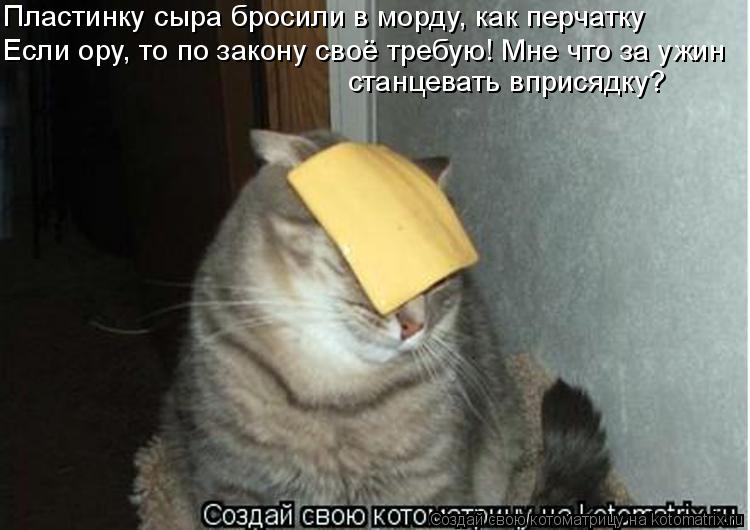 Котоматрица: Пластинку сыра бросили в морду, как перчатку Если ору, то по закону своё требую! Мне что за ужин станцевать вприсядку?