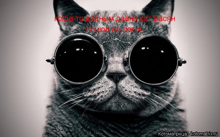 Котоматрица: когда-то давным давно кот Васян  пошол на лоток