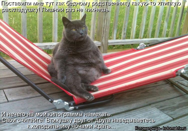 Котоматрица: Поставили мне тут как бедному родственнику какую-то хлипкую раскладушку! Лишний раз не чихнешь. И нечего на мои килограммы намекать. Свои с