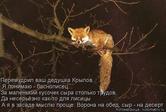Котоматрица: Перемудрил ваш дедушка Крылов  Я понимаю - баснописец... За маленький кусочек сыра столько трудов, Да несерьёзно как-то для лисицы А я в засад