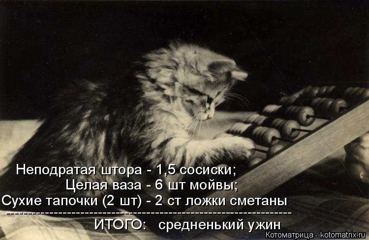 Котоматрица: ИТОГО:   средненький ужин ----------------------------------------------------------------- Сухие тапочки (2 шт) - 2 ст ложки сметаны Целая ваза - 6 шт мойвы; Неподратая штора 