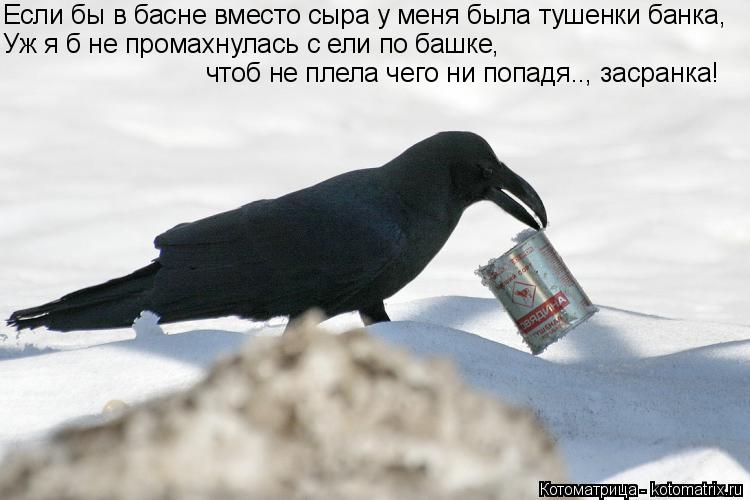 Котоматрица: Если бы в басне вместо сыра у меня была тушенки банка,   чтоб не плела чего ни попадя.., засранка! Уж я б не промахнулась с ели по башке,