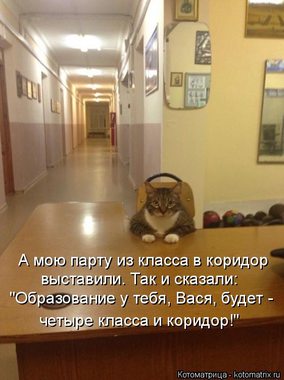 Котоматрица: А мою парту из класса в коридор  выставили. Так и сказали: "Образование у тебя, Вася, будет - четыре класса и коридор!"