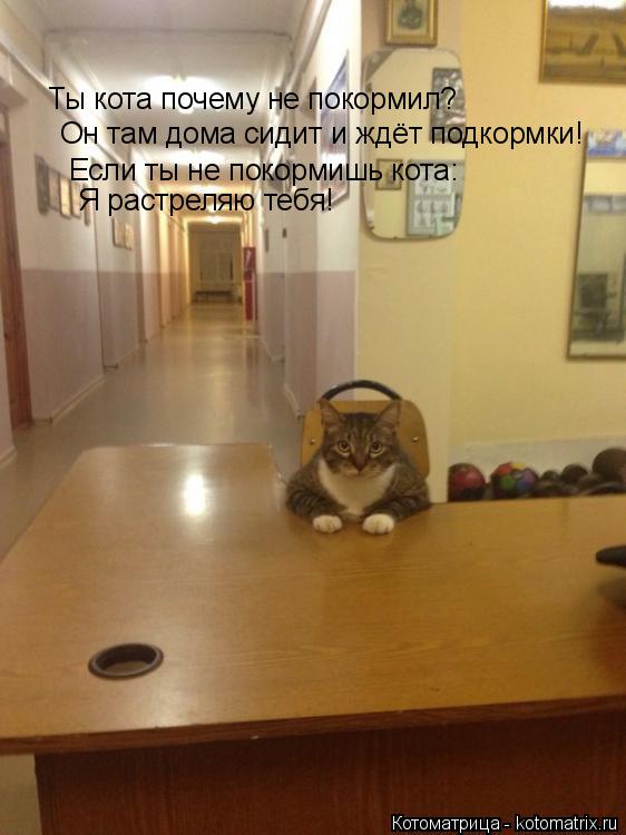 Котоматрица: Ты кота почему не покормил? Он там дома сидит и ждёт подкормки! Если ты не покормишь кота: Я растреляю тебя!