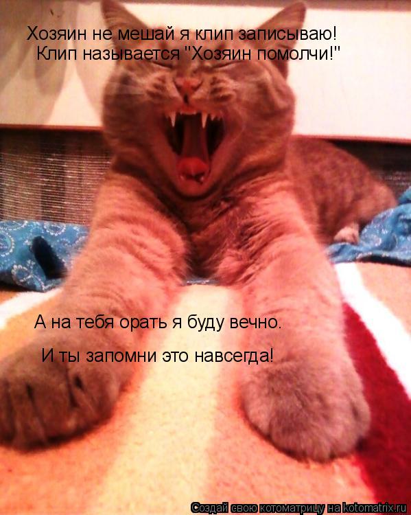 Котоматрица: Хозяин не мешай я клип записываю! Клип называется "Хозяин помолчи!" А на тебя орать я буду вечно. И ты запомни это навсегда!
