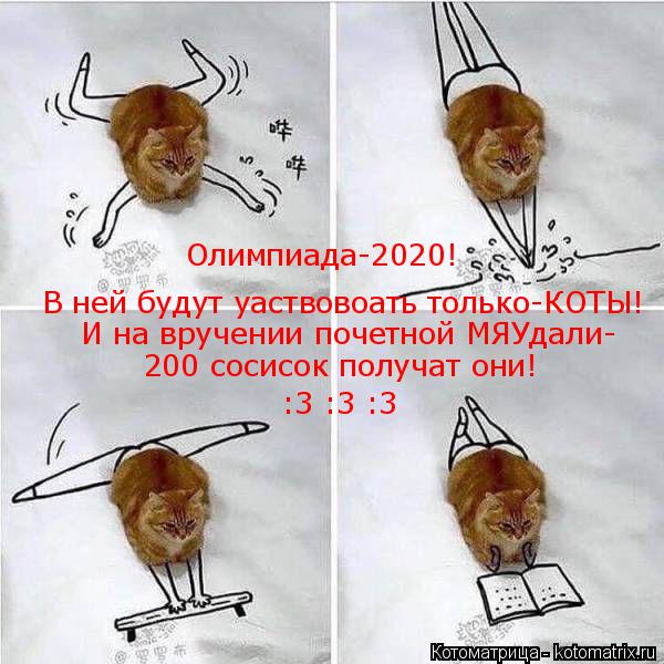 Котоматрица: Олимпиада-2020! В ней будут уаствовоать только-КОТЫ! И на вручении почетной МЯУдали- 200 сосисок получат они! :3 :3 :3