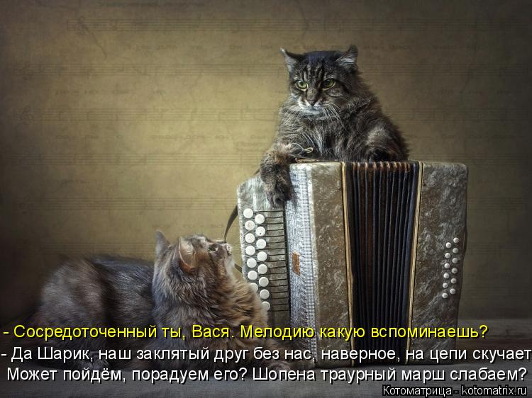 Котоматрица: - Сосредоточенный ты, Вася. Мелодию какую вспоминаешь? - Да Шарик, наш заклятый друг без нас, наверное, на цепи скучает Может пойдём, порадуем 