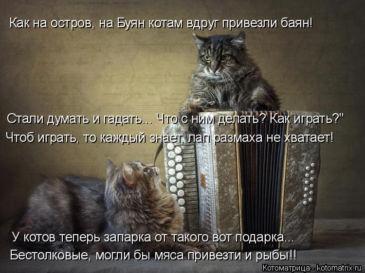 Котоматрица: Как на остров, на Буян котам вдруг привезли баян! Стали думать и гадать... Что с ним делать? Как играть?" Чтоб играть, то каждый знает, лап разма