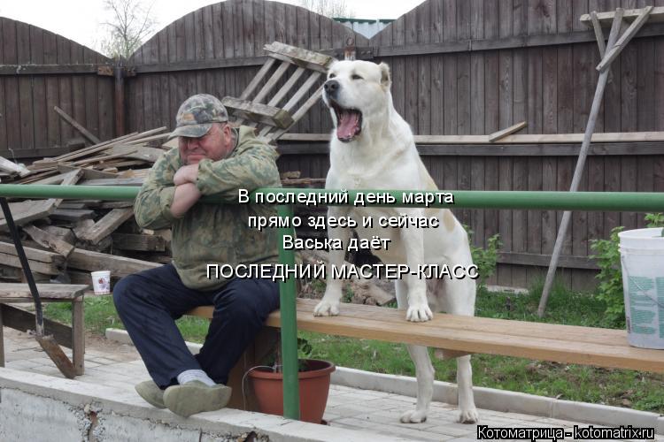 Котоматрица: В последний день марта прямо здесь и сейчас Васька даёт ПОСЛЕДНИЙ МАСТЕР-КЛАСС