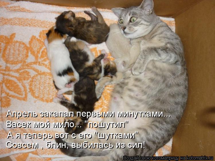 Котоматрица: Васек мой мило... "пошутил" Апрель закапал первыми минутками... А я теперь вот с его "шутками" Совсем , блин, выбилась из сил!