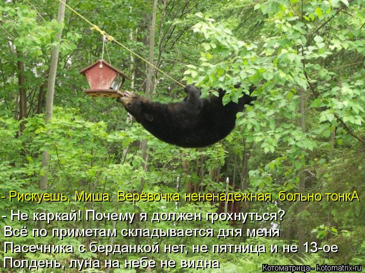 Котоматрица: Полдень, луна на небе не видна Пасечника с берданкой нет, не пятница и не 13-ое Всё по приметам складывается для меня  - Не каркай! Почему я дол