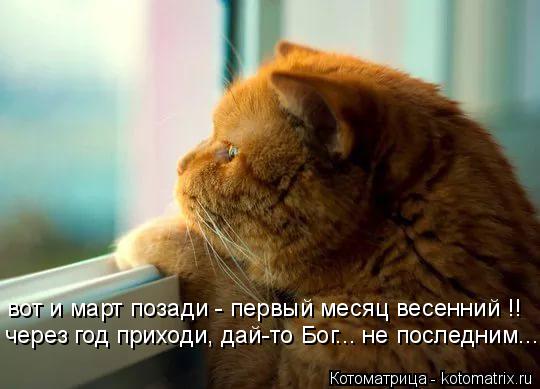Котоматрица: вот и март позади - первый месяц весенний !! через год приходи, дай-то Бог... не последним...