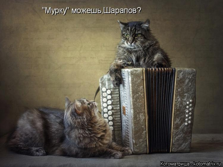 "Мурку" можешь,Шарапов?... Котоматрица: "Мурку" можешь,Шарапов?