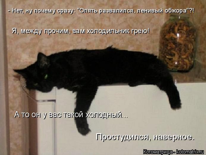 Котоматрица: - Нет, ну почему сразу: "Опять развалился, ленивый обжора"?! А то он у вас такой холодный... Я, между прочим, вам холодильник грею! Простудился, н