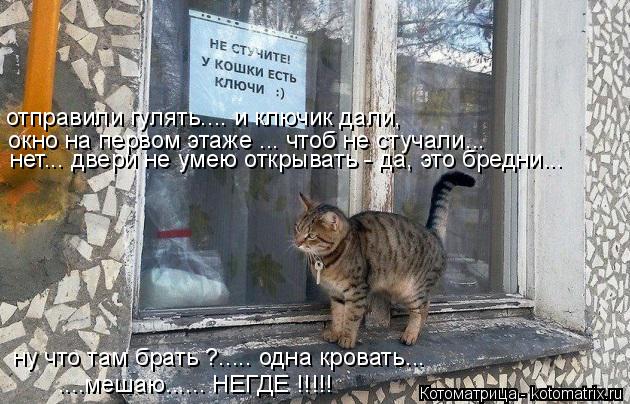 Котоматрица: отправили гулять.... и ключик дали, окно на первом этаже ... чтоб не стучали... нет... двери не умею открывать - да, это бредни... ну что там брать ?...