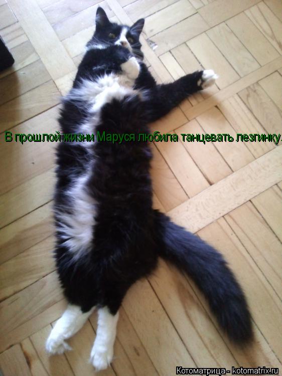 Котоматрица: В прошлой жизни Маруся любила танцевать лезгинку.