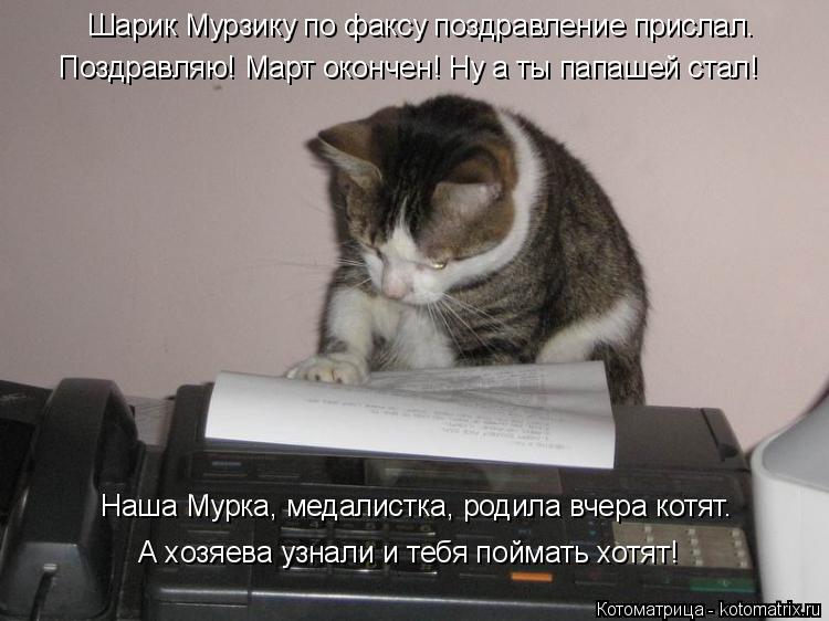 Котоматрица: Шарик Мурзику по факсу поздравление прислал. Поздравляю! Март окончен! Ну а ты папашей стал! А хозяева узнали и тебя поймать хотят! Наша Мурк