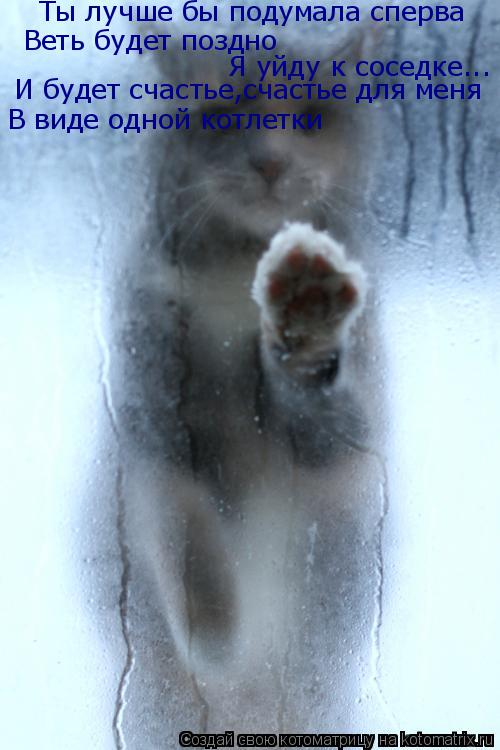 Котоматрица: Ты лучше бы подумала сперва Веть будет поздно  Я уйду к соседке... И будет счастье,счастье для меня В виде одной котлетки
