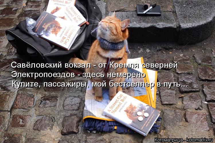 Котоматрица: Савёловский вокзал - от Кремля северней  Электропоездов - здесь немерено   Купите, пассажиры, мой бестселлер в путь...
