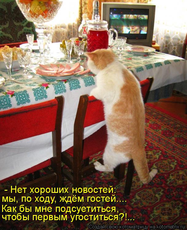 Котоматрица: - Нет хороших новостей: мы, по ходу, ждём гостей.... Как бы мне подсуетиться, чтобы первым угоститься?!...