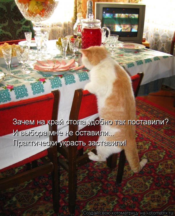 Котоматрица: Зачем на край стола удобно так поставили? И выбора мне не оставили... Практически украсть заставили!