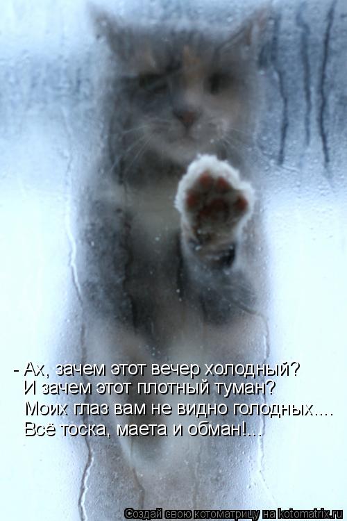 Котоматрица: - Ах, зачем этот вечер холодный? И зачем этот плотный туман? Всё тоска, маета и обман!... Моих глаз вам не видно голодных....