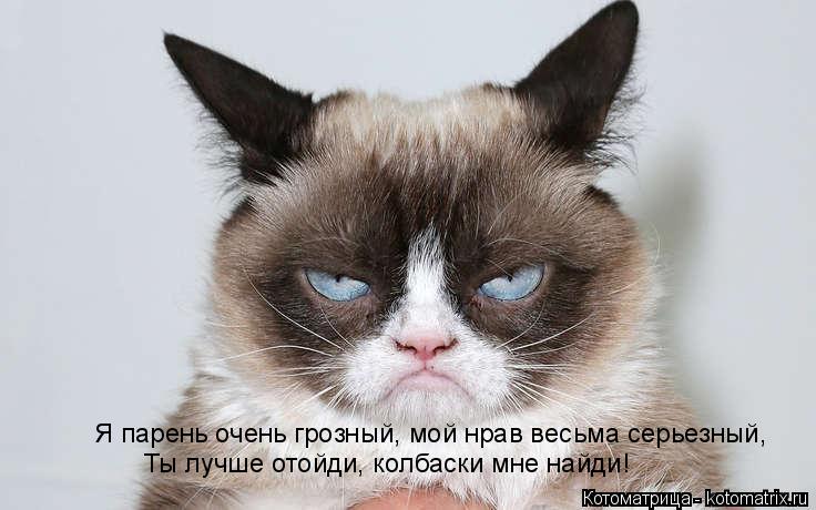 Котоматрица: Ты лучше отойди, колбаски мне найди! Я парень очень грозный, мой нрав весьма серьезный,