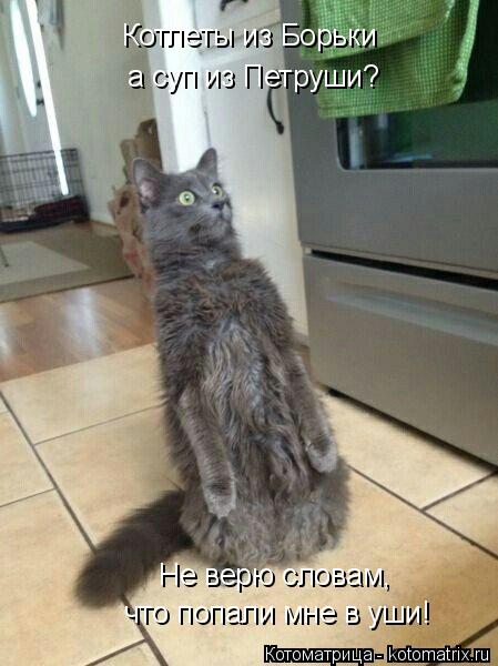 Котоматрица: Котлеты из Борьки а суп из Петруши? что попали мне в уши! Не верю словам,