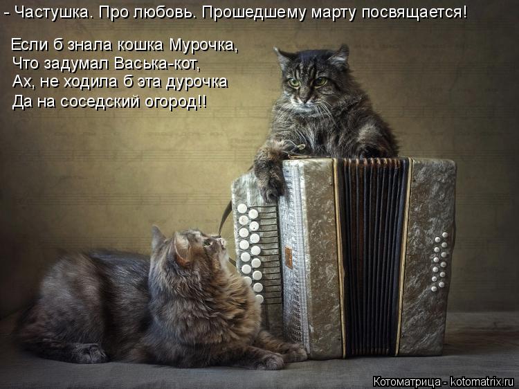 Котоматрица: - Частушка. Про любовь. Прошедшему марту посвящается! Если б знала кошка Мурочка, Что задумал Васька-кот, Ах, не ходила б эта дурочка Да на сос