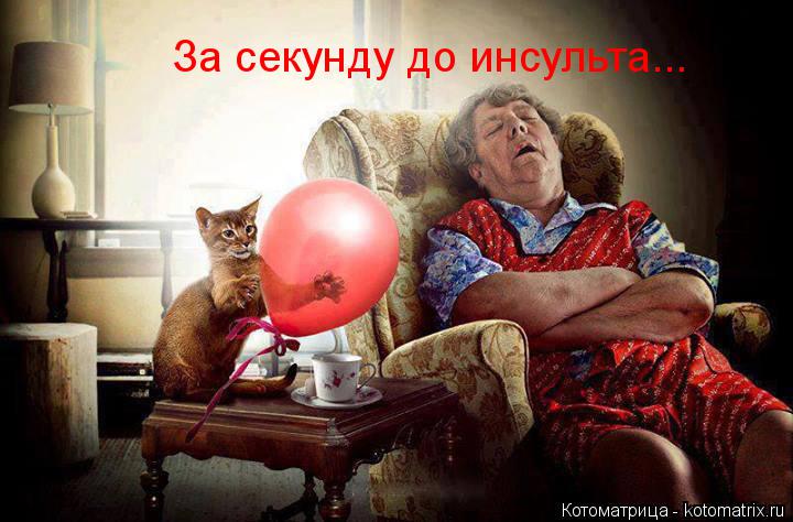 Котоматрица: За секунду до инсульта...