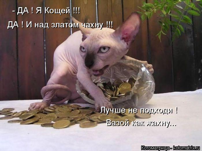Котоматрица: - ДА ! Я Кощей !!! ДА ! И над златом чахну !!! Лучше не подходи ! Вазой как жахну...