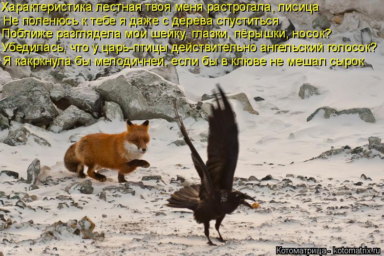 Котоматрица: Характеристика лестная твоя меня растрогала, лисица Не поленюсь к тебе я даже с дерева спуститься Поближе разглядела мои шейку, глазки, пёр