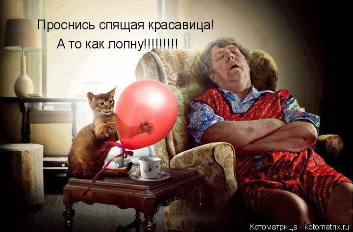 Котоматрица: Проснись спящая красавица! А то как лопну!!!!!!!!!