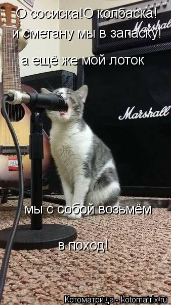 Котоматрица: О сосиска!О колбаска!  и сметану мы в запаску! а ещё же мой лоток мы с собой возьмём  в поход!