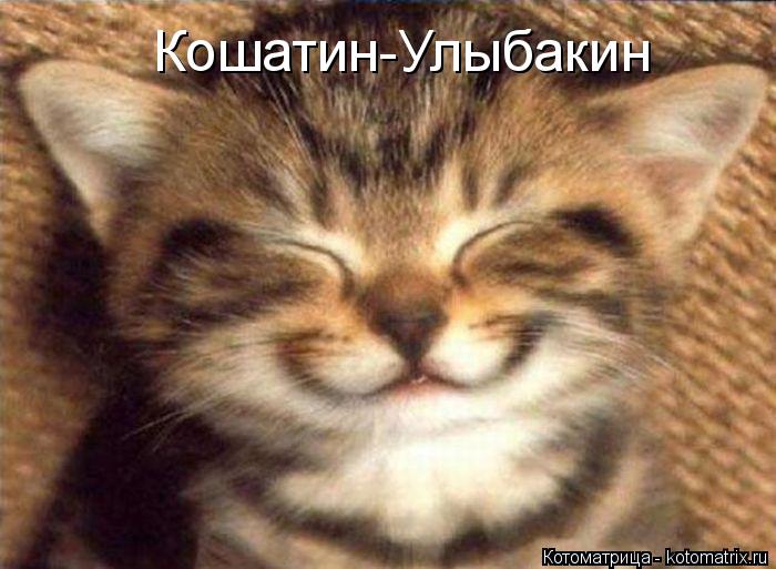 Котоматрица: Кошатин-Улыбакин