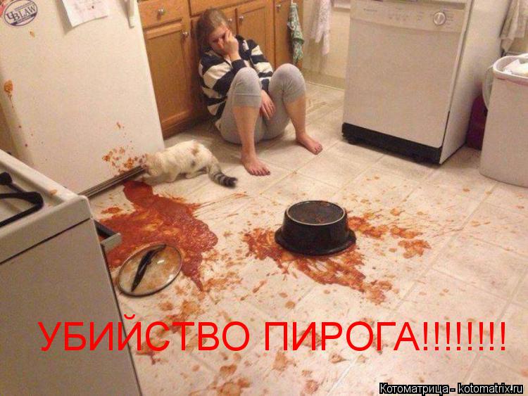 Котоматрица: УБИЙСТВО ПИРОГА!!!!!!!!