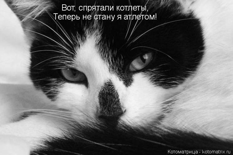 Котоматрица: Вот, спрятали котлеты, Теперь не стану я атлетом!
