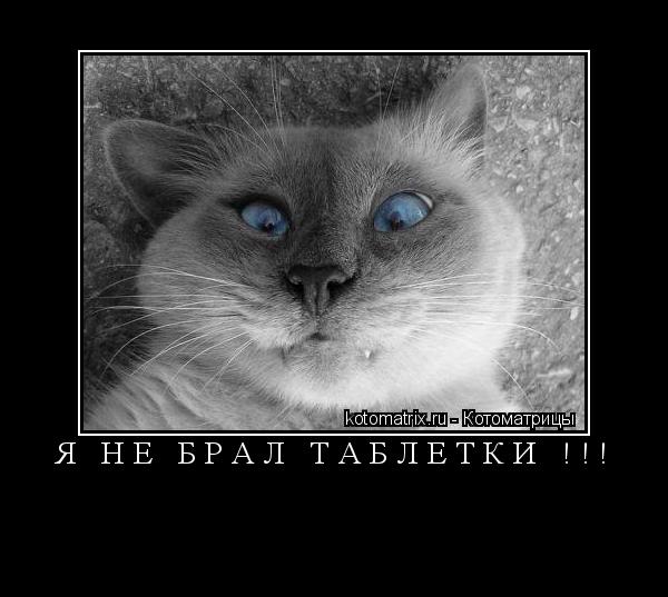 Котоматрица: Я НЕ БРАЛ ТАБЛЕТКИ !!! 