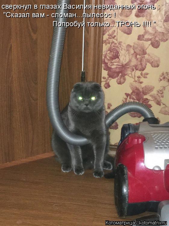 Котоматрица: сверкнул в глазах Василия невиданный огонь : "Сказал вам - сломан...пылесос ! Попробуй только...ТРОНЬ !!!! "