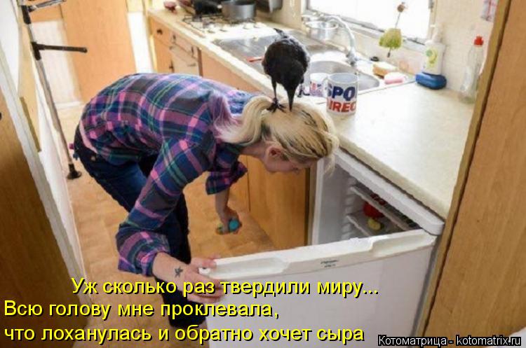 Котоматрица: что лоханулась и обратно хочет сыра Всю голову мне проклевала, Уж сколько раз твердили миру...