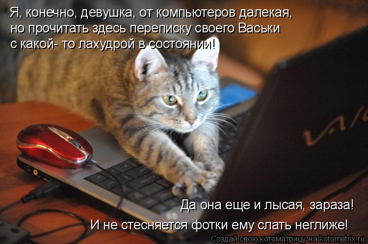 Котоматрица: Я, конечно, девушка, от компьютеров далекая,  но прочитать здесь переписку своего Васьки  с какой- то лахудрой в состоянии! Да она еще и лысая,