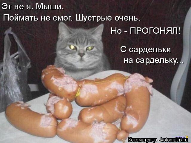 Котоматрица: на сардельку... Эт не я. Мыши. Поймать не смог. Шустрые очень. Но - ПРОГОНЯЛ! С сардельки