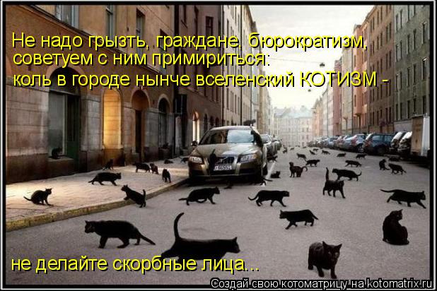 Котоматрица: Не надо грызть, граждане, бюрократизм,  советуем с ним примириться: коль в городе нынче вселенский КОТИЗМ -  не делайте скорбные лица...