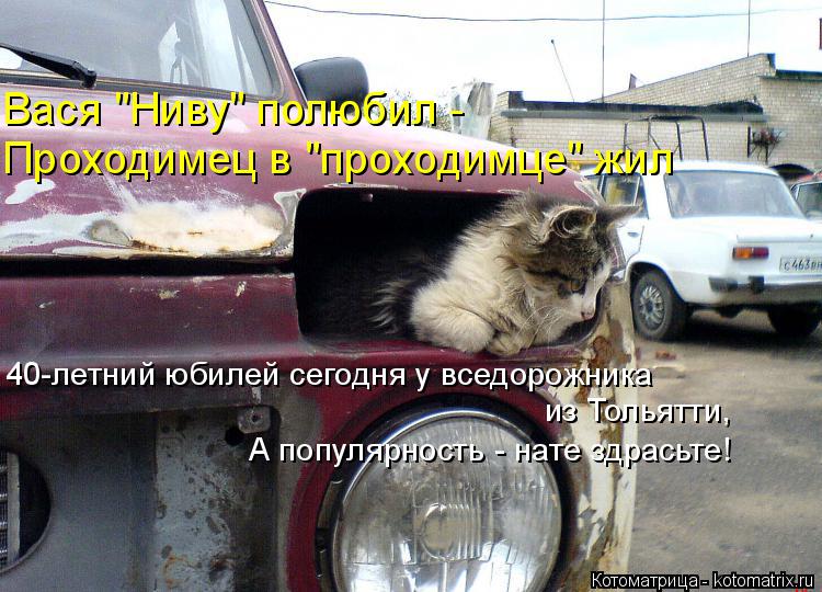 Котоматрица: Вася "Ниву" полюбил -  Проходимец в "проходимце" жил 40-летний юбилей сегодня у вседорожника  из Тольятти, А популярность - нате здрасьте!