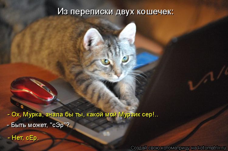 Котоматрица: Из переписки двух кошечек: - Ох, Мурка, знала бы ты, какой мой Мурзик сер!.. - Нет, сЕр. - Быть может, "сЭр"?