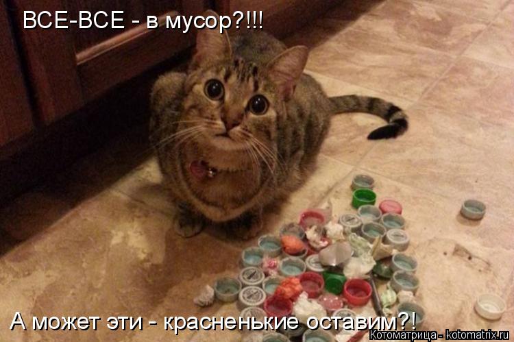 Котоматрица: ВСЕ-ВСЕ - в мусор?!!! А может эти - красненькие оставим?!