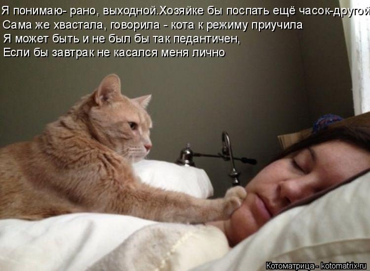 Котоматрица: Я понимаю- рано, выходной.Хозяйке бы поспать ещё часок-другой  Сама же хвастала, говорила - кота к режиму приучила  Я может быть и не был бы та