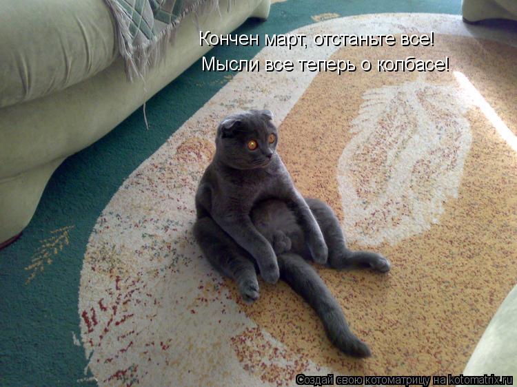 Котоматрица: Кончен март, отстаньте все! Мысли все теперь о колбасе!