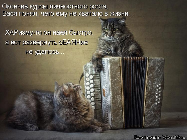 Окончив курсы личностного роста, Вася понял, чего ему не хватало в жизни... ХАРизму-то он наел быстро... Котоматрица: Окончив курсы личностного роста, Вася понял, чего ему не хватало в жизни... ХАРизму-то он наел быстро, а вот развернуть оБАЯНие не удалось...